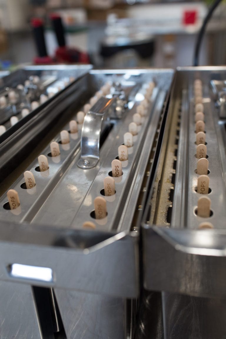 What's The Big Deal With Austin's New Steel City Pops? So Much Life