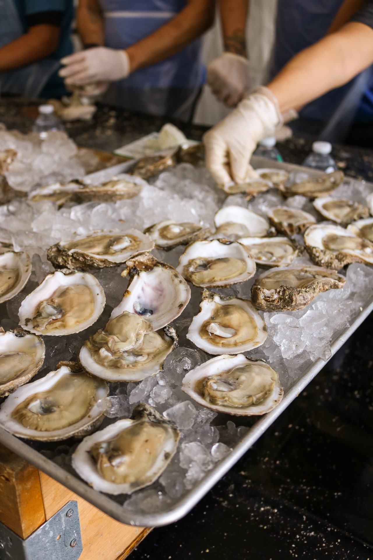 All About The Austin Oyster Festival So Much Life