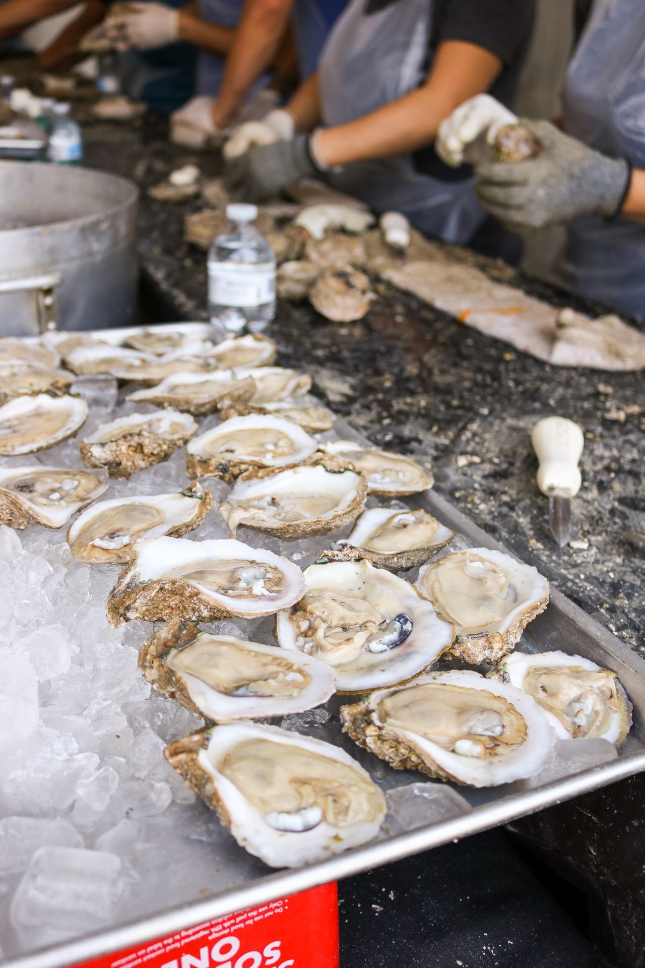 All About The Austin Oyster Festival So Much Life