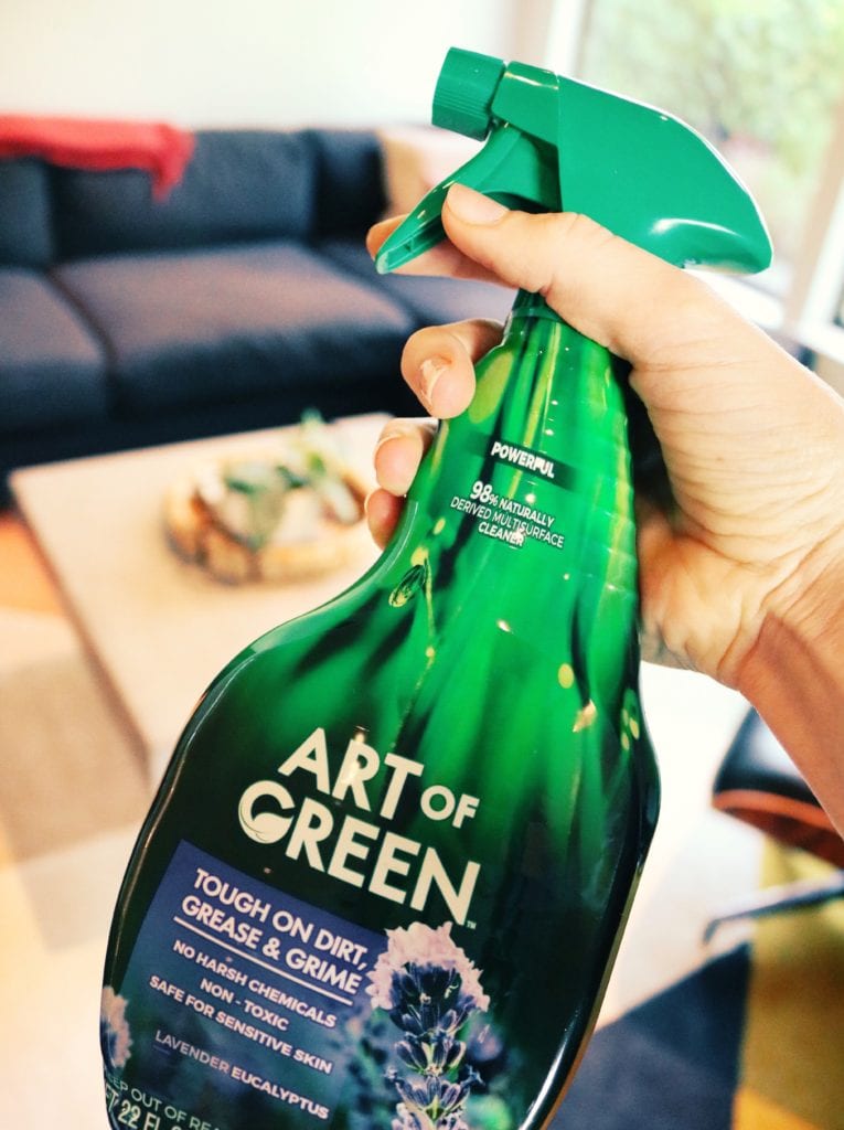 Art of Green | 3 Tips I Use To Keep My Austin Home Sparkling