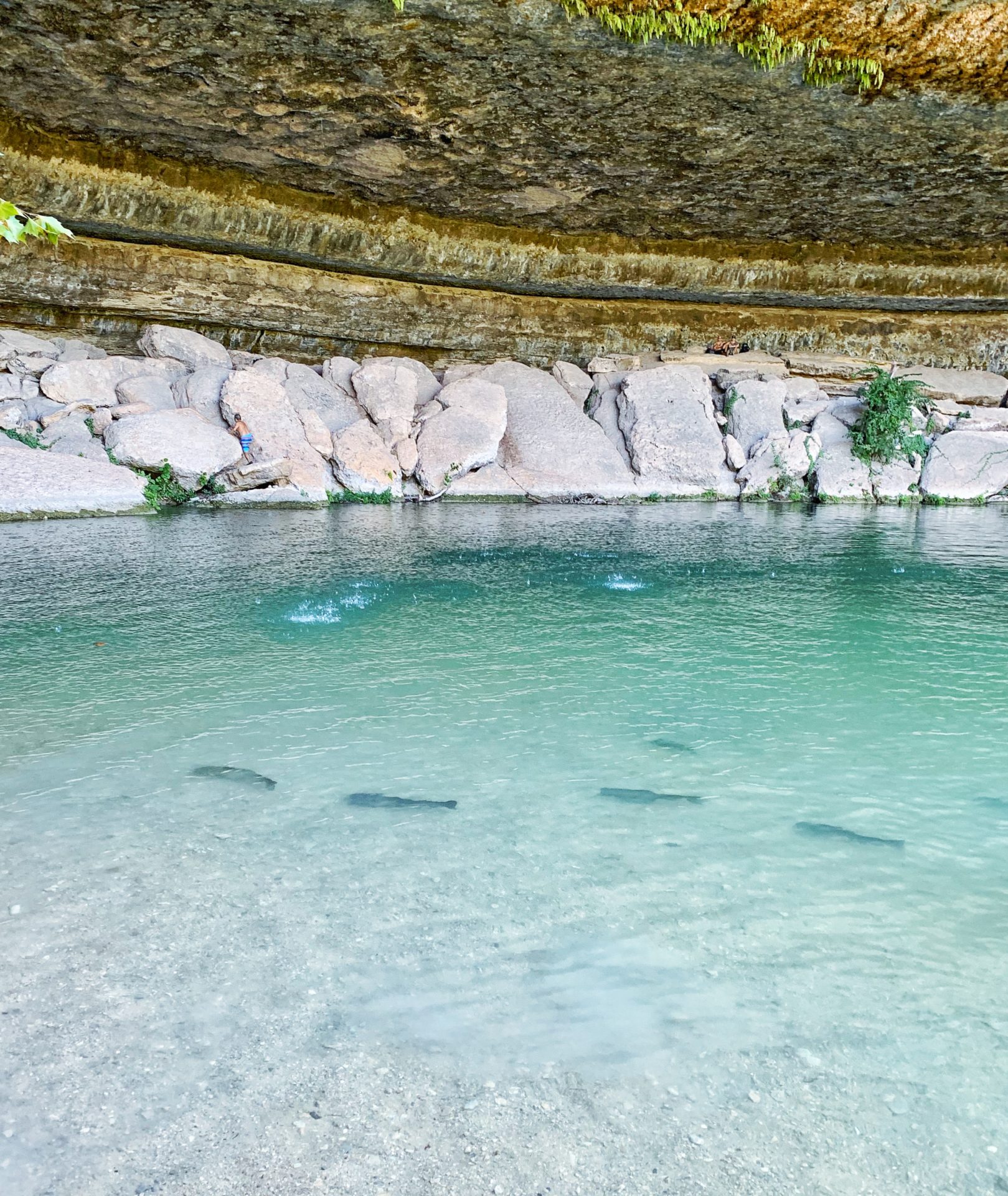 Everything You Need To Know About Visiting Hamilton Pool So Much Life