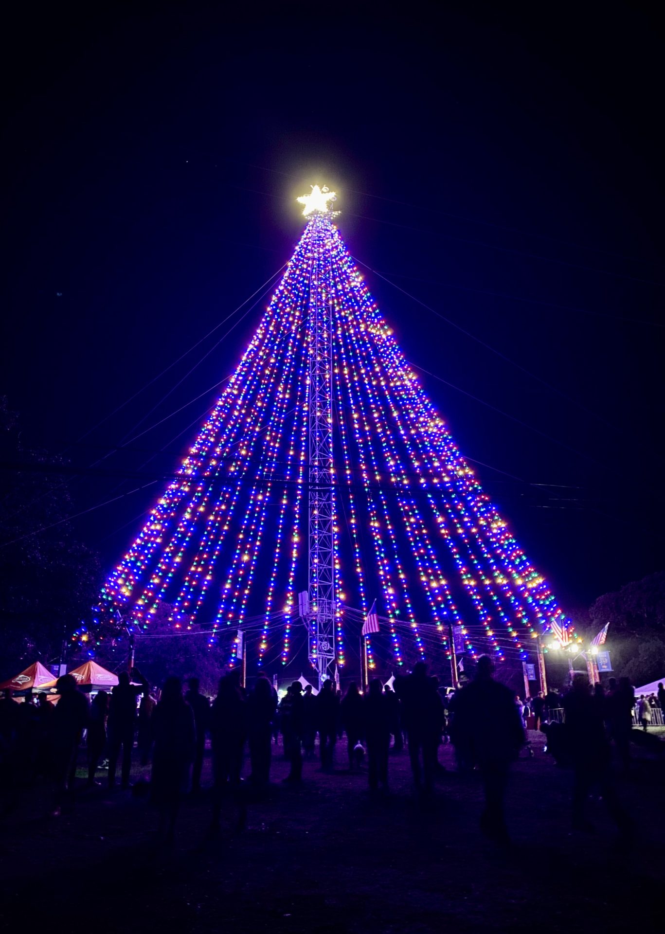 All About The Zilker Tree Lighting So Much Life