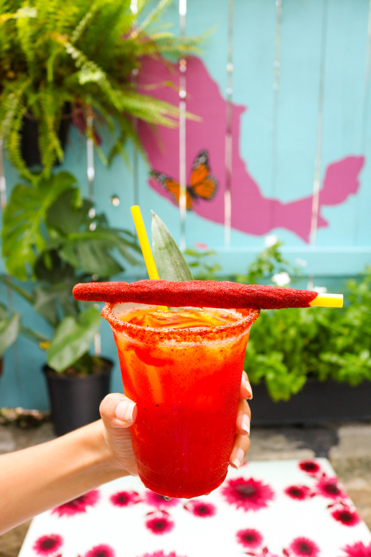 Best Margaritas In Austin Texas - xv3530x