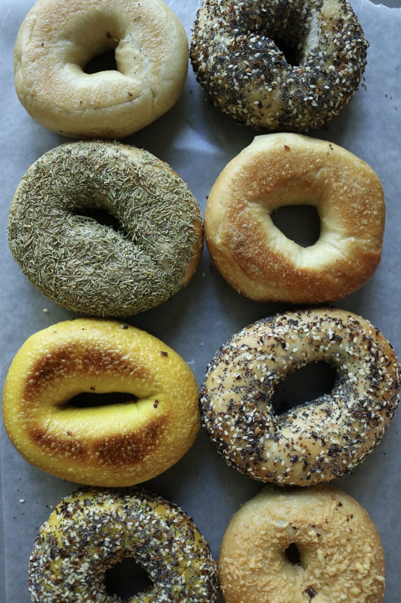 Where To Eat Bagels In Austin So Much Life