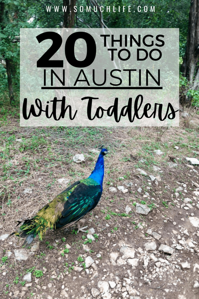 Things to do in Austin with a toddler
