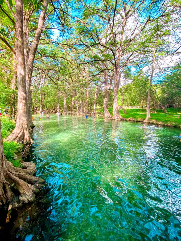 Blue Hole Regional Park in Wimberley Texas