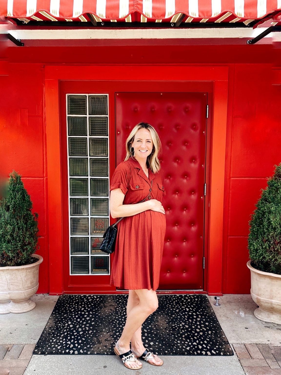 Third Trimester, Second Pregnancy So Much Life