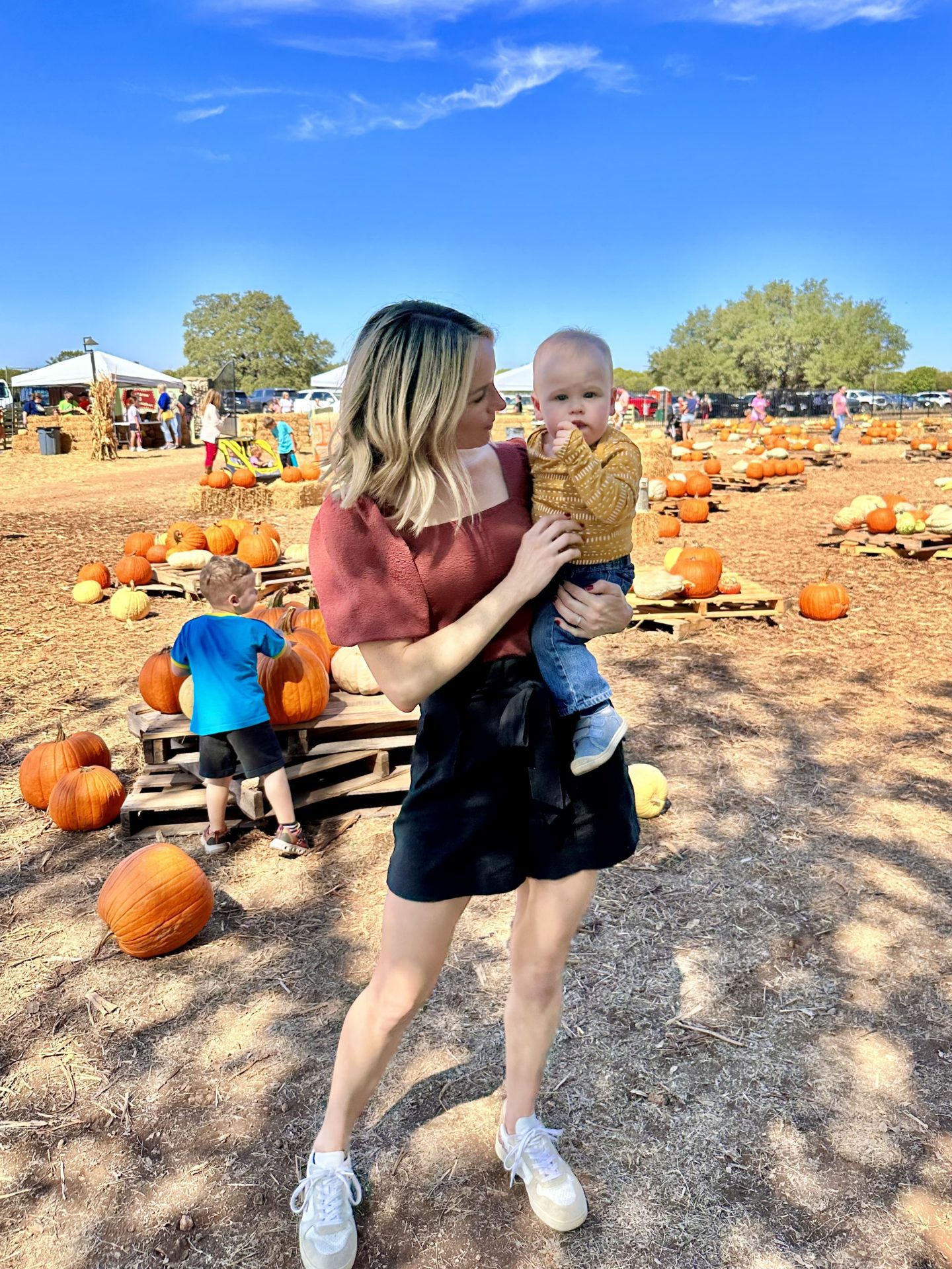 Dripping Springs Pumpkin Festival So Much Life