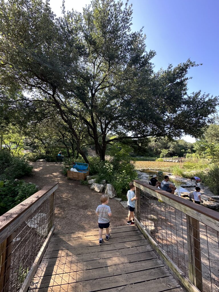 A Morning At The Austin Nature & Science Center