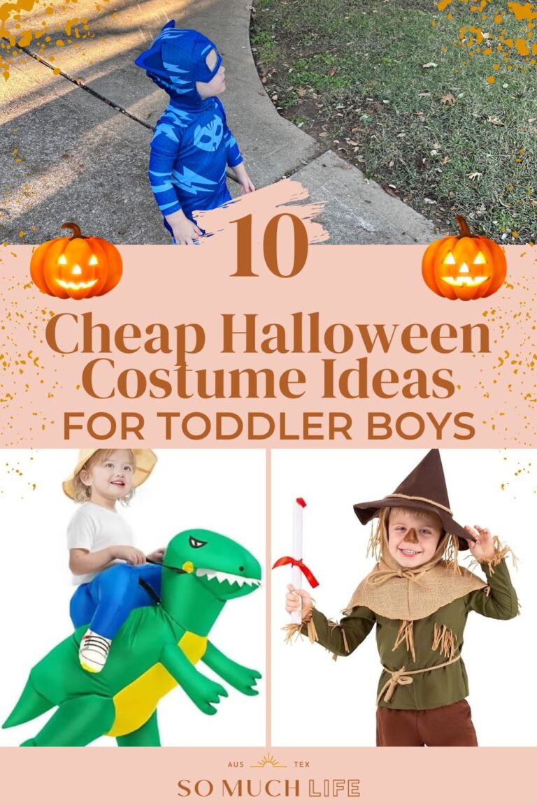 10 Cheap Halloween Costume Ideas For Toddler Boys So Much Life