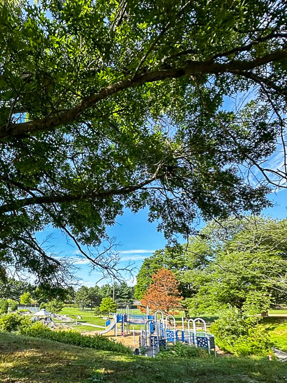 Deering Oaks Playground