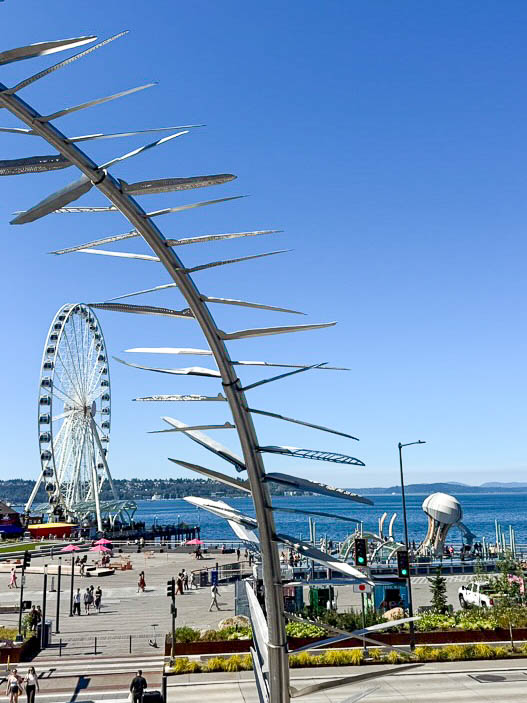 Jellyfish Playground