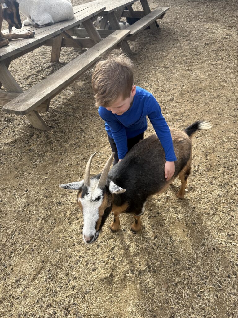 Jester King goat farm