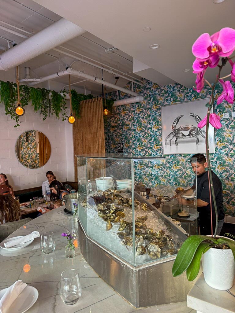 San Diego Food and Drinks-02