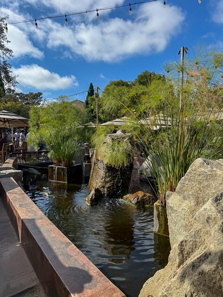 San Diego Food and Drinks- Stone Brewing Liberty Hill