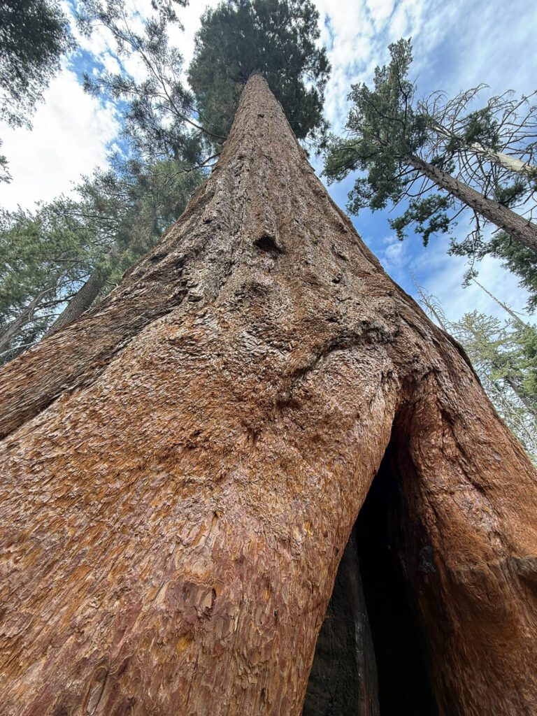 sisters trip to Yosemite-03